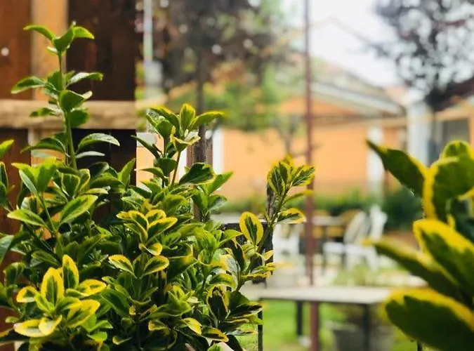 Dolce Nera Bed and breakfast